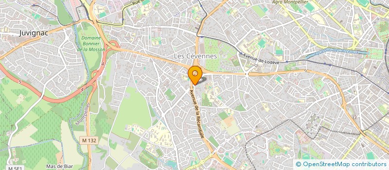 localisation de l'entreprise MONSIEUR BRAHIM ZEMOULI  MONTPELLIER