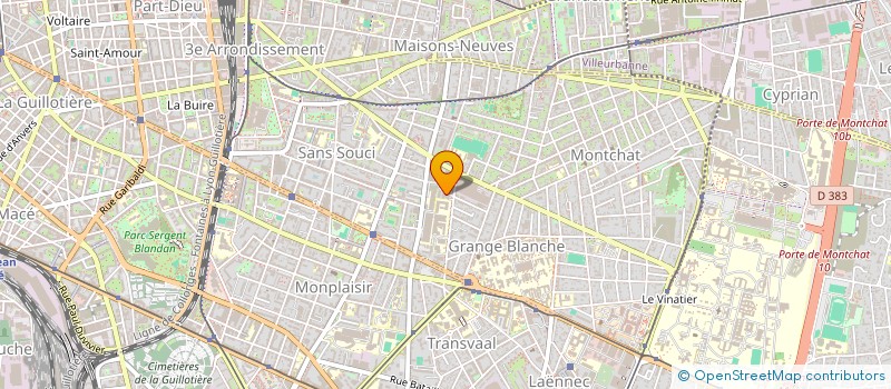 localisation de l'entreprise MONSIEUR BRAYAN MEVIAL  LYON