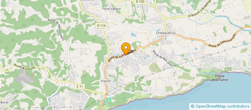 localisation de l'entreprise MONSIEUR BRICE BOUEILH  SAINTE-ANNE