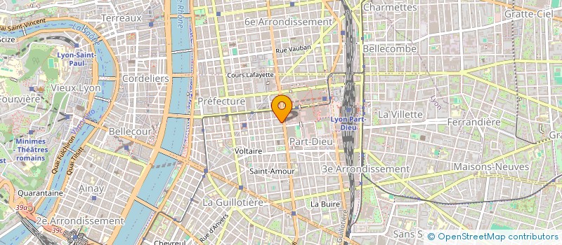 localisation de l'entreprise MONSIEUR BRICE DIOCHON  LYON