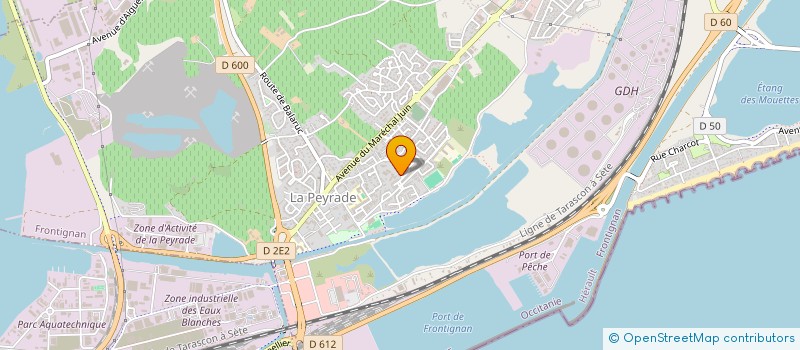 localisation de l'entreprise MONSIEUR BRICE DOMENEGHETTY à FRONTIGNAN