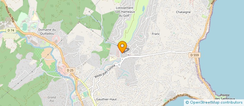 localisation de l'entreprise MONSIEUR BRICE GOMEZ à ROQUEBRUNE-SUR-ARGENS