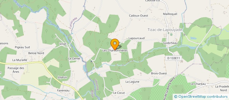 localisation de l'entreprise MONSIEUR BRICE GRAVOT  TIZAC-DE-LAPOUYADE