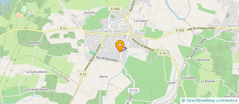 localisation de l'entreprise MONSIEUR BRICE LAFON  SAINT-SAVIN