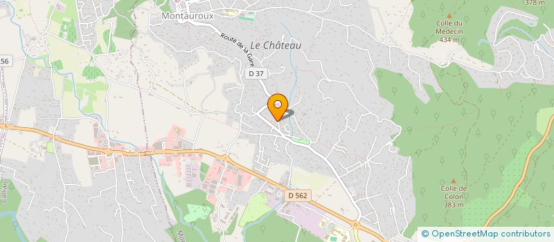 localisation de l'entreprise MONSIEUR BRICE TONNEAU  MONTAUROUX