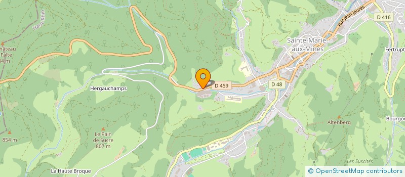 localisation de l'entreprise MONSIEUR BRICE VERGER  SAINTE-MARIE-AUX-MINES