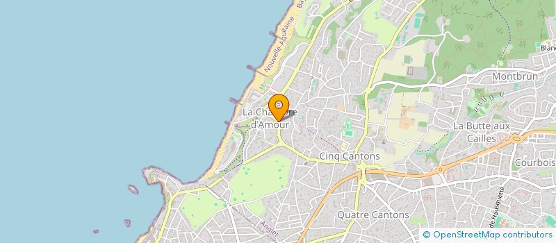 localisation de l'entreprise MONSIEUR BRIEG DARCEL  ANGLET