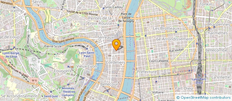 localisation de l'entreprise MONSIEUR BRIEUC MARTIN à LYON