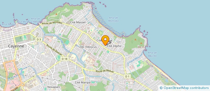 localisation de l'entreprise MONSIEUR BRINSLEY HO THIN YU  CAYENNE