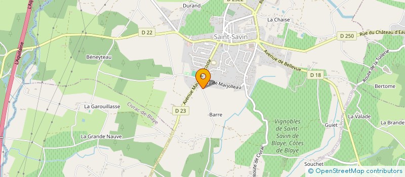 localisation de l'entreprise MONSIEUR BRUNO ABREU  SAINT-SAVIN