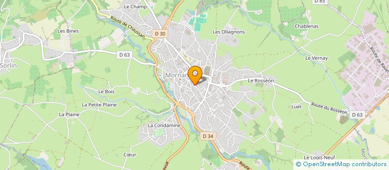 localisation de l'entreprise MONSIEUR BRUNO ALZINA  MORNANT