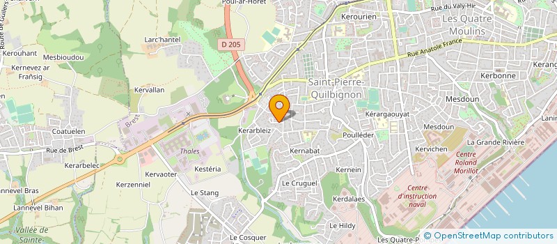 localisation de l'entreprise MONSIEUR BRUNO APPAMON à BREST
