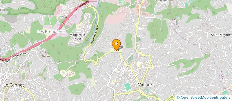 localisation de l'entreprise MONSIEUR BRUNO BACCATI  VALLAURIS