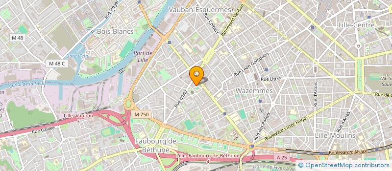 localisation de l'entreprise MONSIEUR BRUNO BAZERBES à LILLE