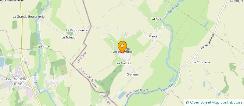 localisation de l'entreprise MONSIEUR BRUNO BERCY  SAVIGNY-SUR-BRAYE