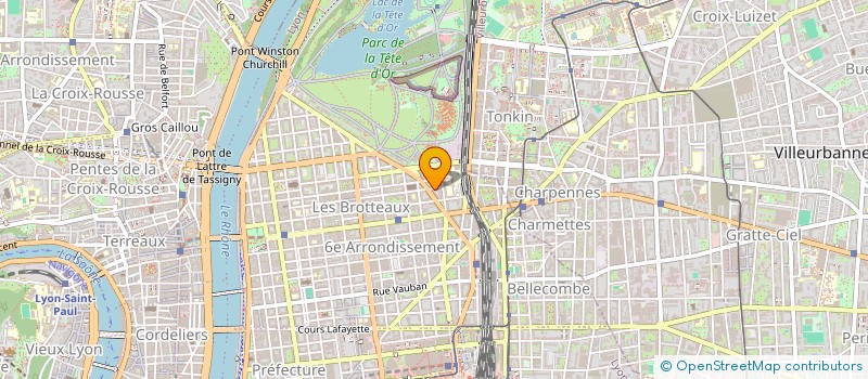 localisation de l'entreprise MONSIEUR BRUNO BUSSCHAERT  LYON