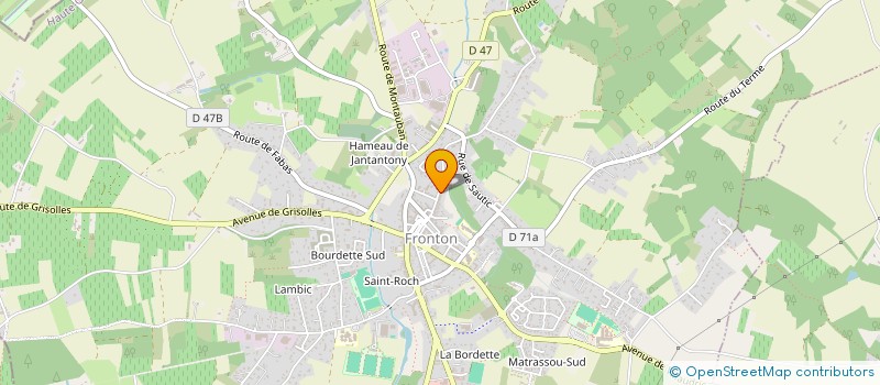 localisation de l'entreprise MONSIEUR BRUNO CARRET  FRONTON