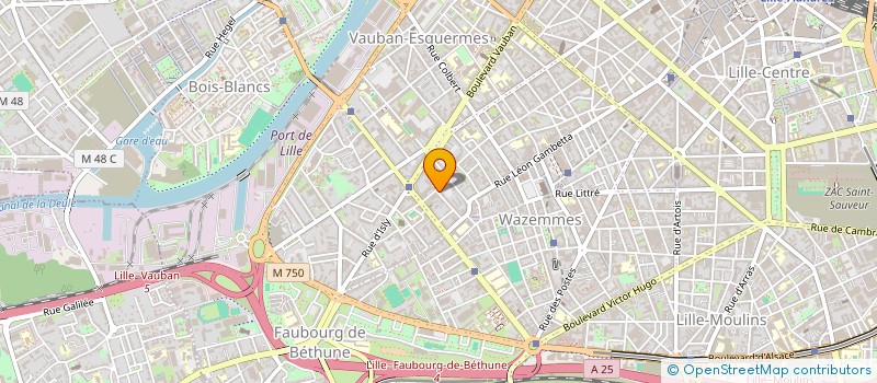 localisation de l'entreprise MONSIEUR BRUNO CATELIN à LILLE