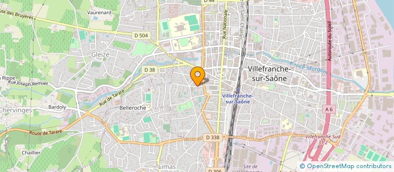 localisation de l'entreprise MONSIEUR BRUNO CHAMPIN  VILLEFRANCHE-SUR-SAONE