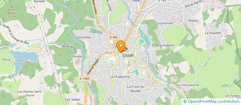 localisation de l'entreprise MONSIEUR BRUNO CHAPUT  USSEL