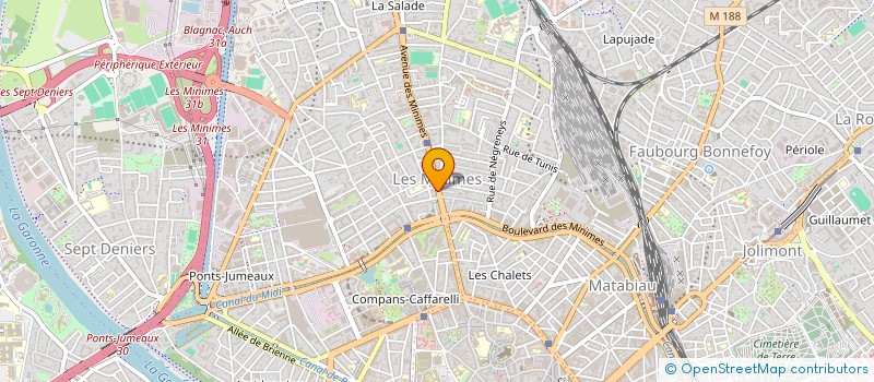 localisation de l'entreprise MONSIEUR BRUNO CHICOULAA  TOULOUSE