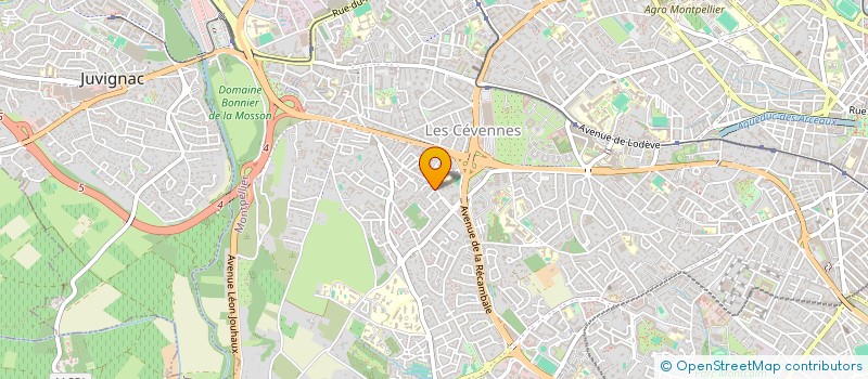localisation de l'entreprise MONSIEUR BRUNO CUCCHI à MONTPELLIER