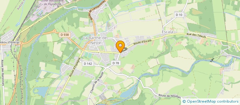 localisation de l'entreprise MONSIEUR BRUNO DANFRAY  LA BARTHE-DE-NESTE