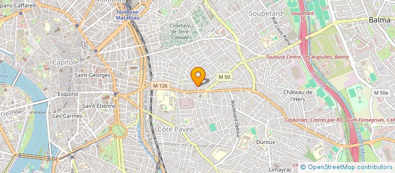 localisation de l'entreprise MONSIEUR BRUNO DAVID à TOULOUSE