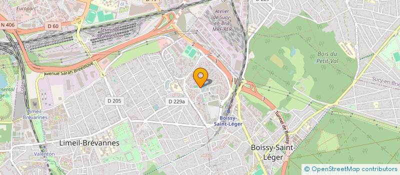localisation de l'entreprise MONSIEUR BRUNO DE SOUSA DA SILVA ARAUJO à BOISSY-SAINT-LEGER