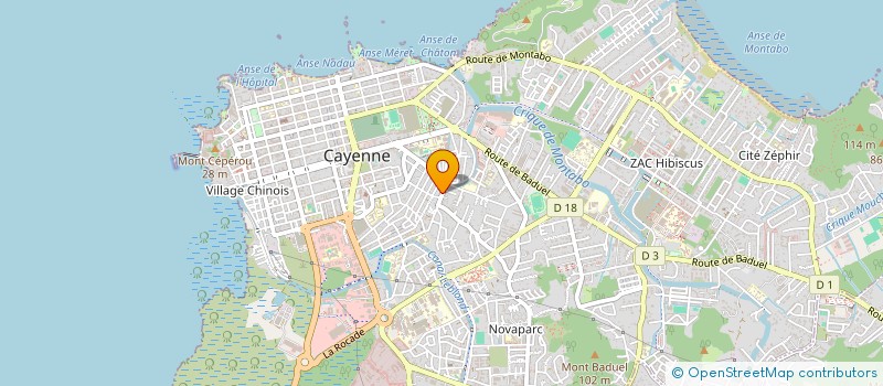 localisation de l'entreprise MONSIEUR BRUNO DIAZ MENDOZA  CAYENNE