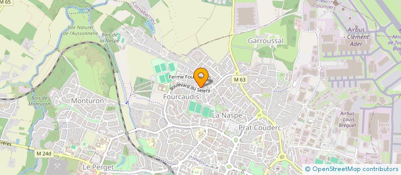 localisation de l'entreprise MONSIEUR BRUNO DOS SANTOS DA SILVA à COLOMIERS