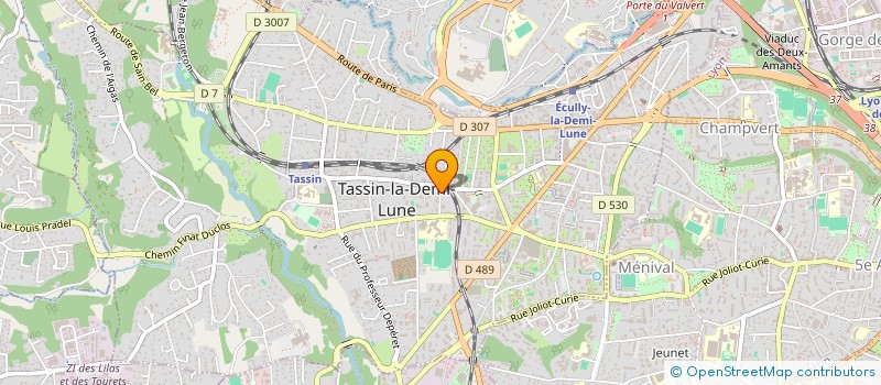 localisation de l'entreprise MONSIEUR BRUNO DUHAMEL  TASSIN-LA-DEMI-LUNE