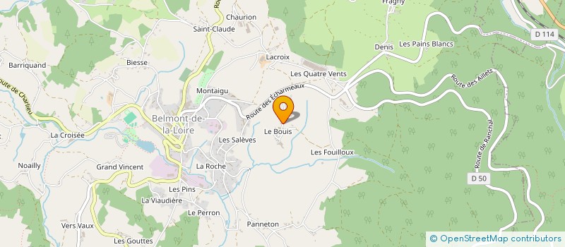 localisation de l'entreprise MONSIEUR BRUNO DUPERRON  ROANNE