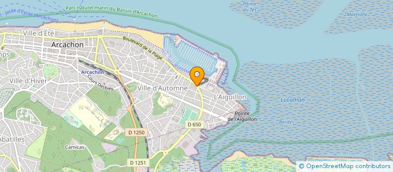 localisation de l'entreprise MONSIEUR BRUNO DUVIGNAU-GRANDJEAN  LA TESTE-DE-BUCH