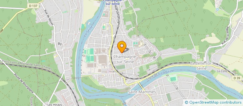 localisation de l'entreprise MONSIEUR BRUNO FERNANDO FERREIRA MATOS  CHAMPAGNE-SUR-SEINE