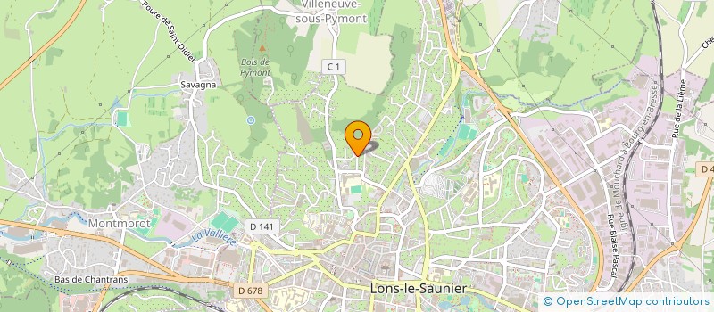 localisation de l'entreprise MONSIEUR BRUNO GAILLARD  LONS-LE-SAUNIER