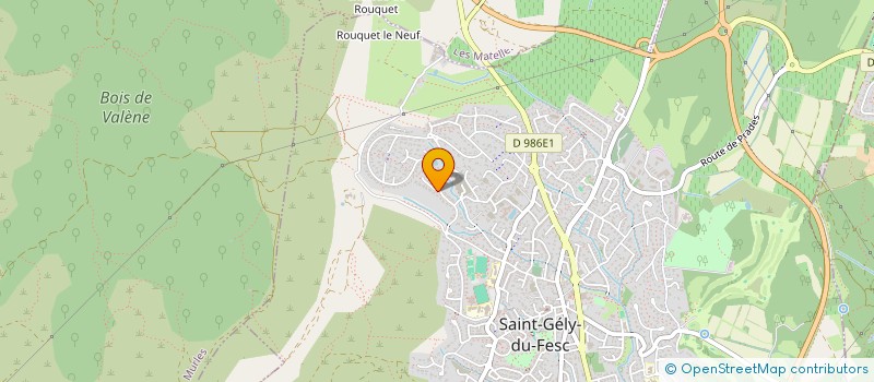 localisation de l'entreprise MONSIEUR BRUNO GERVAIS  BOUZIGUES