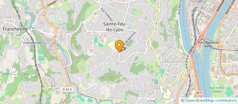 localisation de l'entreprise MONSIEUR BRUNO GOUPY  SAINTE-FOY-LES-LYON