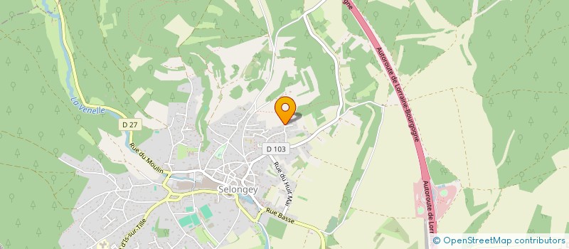 localisation de l'entreprise MONSIEUR BRUNO GREUILLET  SELONGEY