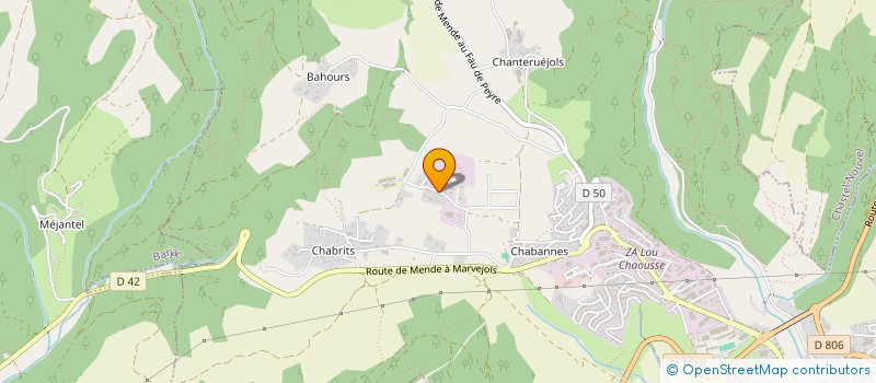 localisation de l'entreprise MONSIEUR BRUNO JACQUES LOUIS NIVOLIES  MENDE