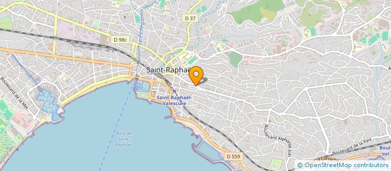 localisation de l'entreprise MONSIEUR BRUNO JANIN  SAINT-RAPHAEL