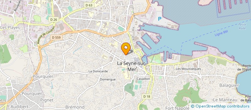 localisation de l'entreprise MONSIEUR BRUNO LEREBOURS  LA SEYNE-SUR-MER