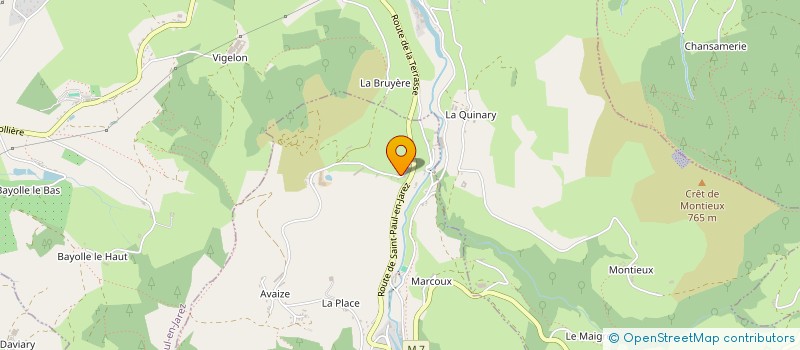 localisation de l'entreprise MONSIEUR BRUNO LEVE  LA TERRASSE-SUR-DORLAY