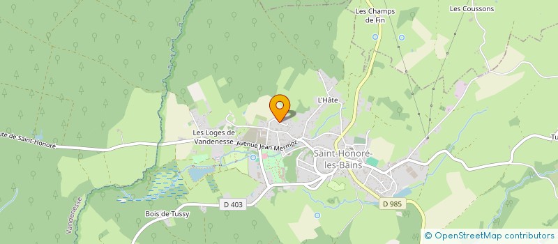 localisation de l'entreprise MONSIEUR BRUNO MAINGAUD  SAINT-HONORE-LES-BAINS