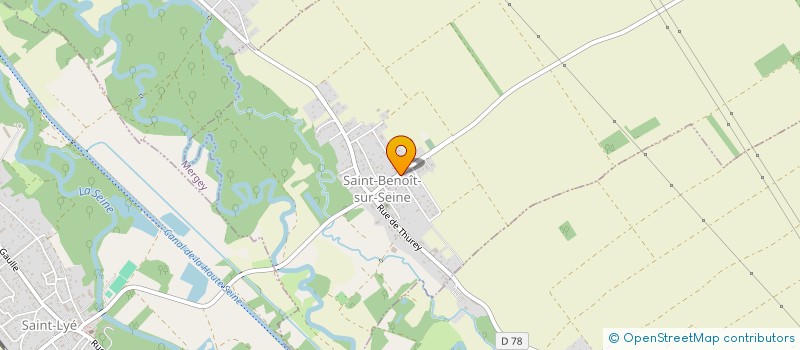 localisation de l'entreprise MONSIEUR BRUNO MALICKI  SAINT-BENOIT-SUR-SEINE