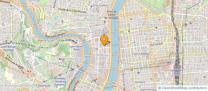 localisation de l'entreprise MONSIEUR BRUNO-MARIE PERRIN  VILLEURBANNE