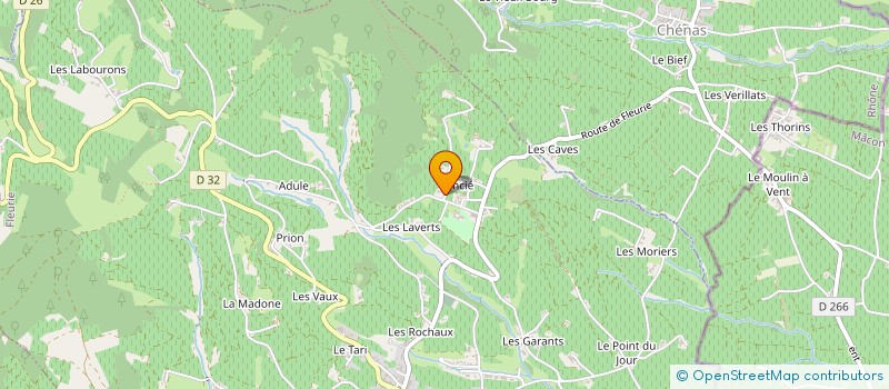 localisation de l'entreprise MONSIEUR BRUNO MARION à FLEURIE