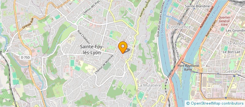 localisation de l'entreprise MONSIEUR BRUNO MARION à SAINTE-FOY-LES-LYON