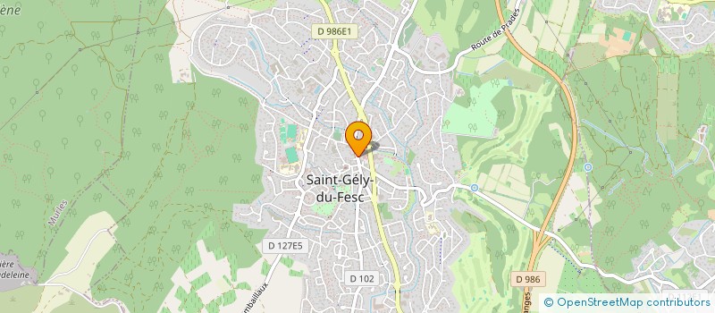 localisation de l'entreprise MONSIEUR BRUNO MARTINEZ  SAINT-GELY-DU-FESC