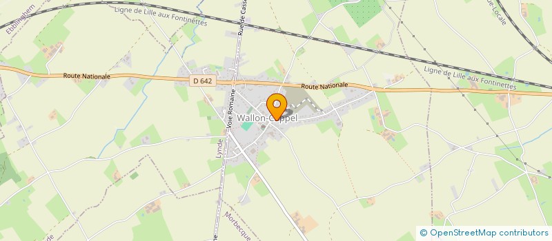 localisation de l'entreprise MONSIEUR BRUNO MENTASTI  WALLON-CAPPEL